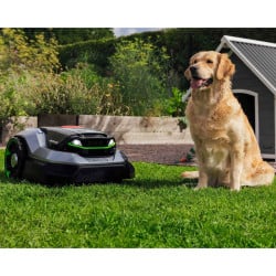 Robot tondeuse à gazon sans fil AURA-R2 RMR6000E - Jusqu'à 6000m² - EGO