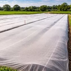 Filet Anti-Insectes anti-Uv 5 saisons spécial Fruits Rouges et Fruitiers