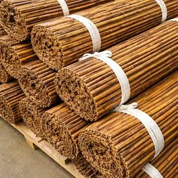 Canisse Bambou Rond Ambré Premium RIVIERA, Longueur 3m