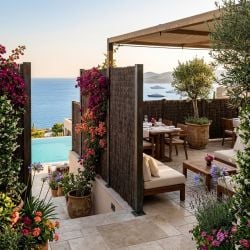 Canisse Bruyère Premium NATURA LOUNGE Haute Densité, Longueur 3m