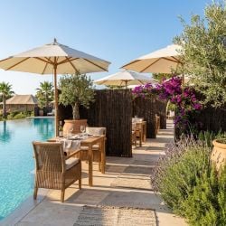 Canisse Bruyère Premium NATURA LOUNGE Haute Densité, Longueur 3m