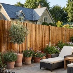 Canisse Bambou Rond Ambré Premium RIVIERA, Longueur 3m