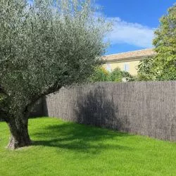 Canisse Bruyère Premium NATURA LOUNGE Haute Densité, Longueur 3m