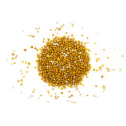 Engrais enrobé Osmocote Topdress 22-5-6+2MgO+TE, 4/5 mois - ICL