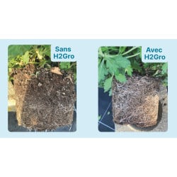 Agent mouillant liquide effet longue durée H2Gro ED - ICL - Bidon 10 L