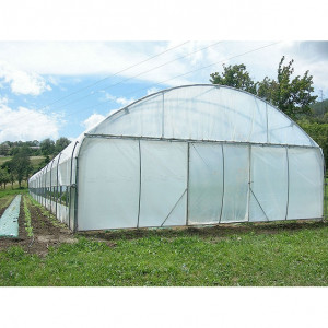 Serre tunnel Pro-Ser Axame, 6 x 6 m, pieds droits AXAMPRO66PEPRPR