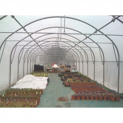 Serre tunnel Pro-Ser Axame, 6 x 6 m, pieds droits AXAMPRO66PEPRPC