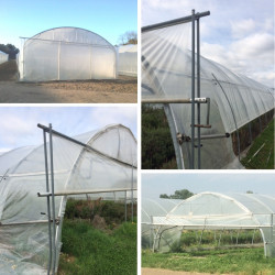 Serre tunnel Pro-Ser Axame, 6 x 6 m, pieds droits AXAMPRO66PEPEPCALE