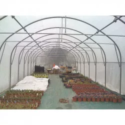 Serre tunnel Pro-Ser Axame, 6 x 14 m, pieds droits AXAMPRO614PEPRPRALE