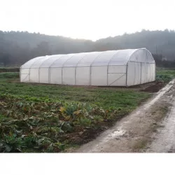 Serre tunnel Pro-Ser Axame, 8 x 20 m, pieds droits AXAMPRO820PEPCPCALE