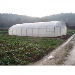 Serre tunnel Pro-Ser Axame, 8 x 30 m, pieds droits AXAMPRO830PEPCPCALE