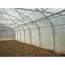 Serre tunnel Pro-Ser Axame, 9,60 x 10 m, pieds droits AXAMPRO910PEPEPEALE