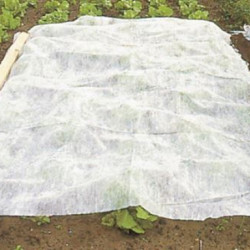 Anti-Givre Réutilisable Voile Hivernage Plante des Non Tissée, Respirante  pour Plantes en Extérieur en Hiver, 180 X 120cm