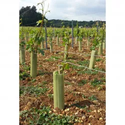 Manchon de protection Winytub Celtiplast, 35 cm