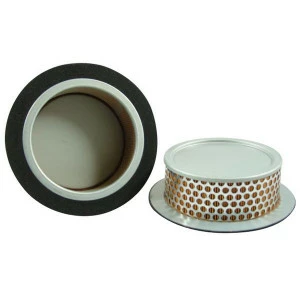 Filtre à air Hifi Filter SA 12430