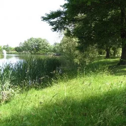 Enherbement Berges 20kg - 800m² - semences professionnelles