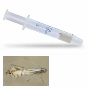 Diffuseur seringue Phyllo Pro Caps contre la mineuse des agrumes