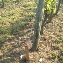 Amarre pour cornière en acier brut