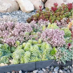 Bordure de jardin équerre plastique Toltex