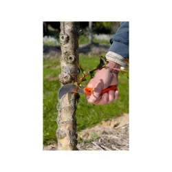 Serpette Bahco P20, longueur 20 cm