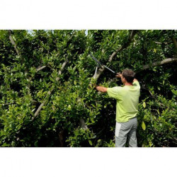 Cisaille à haies professionnelle Bahco P51H-SL, manches longs