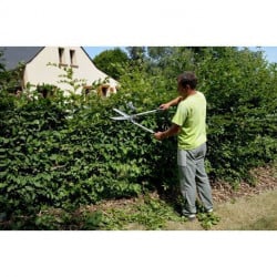 Cisaille à haies professionnelle Bahco P51H-SL, manches longs