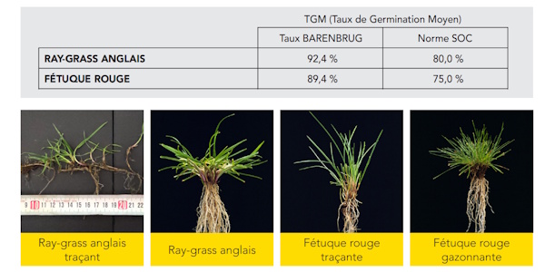 Qualité germinative PRO 01