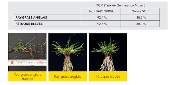 Qualité germinative PRO 24P