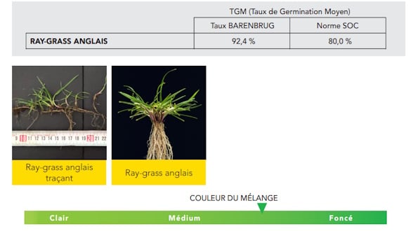 Qualité germinative RES+ ELITE
