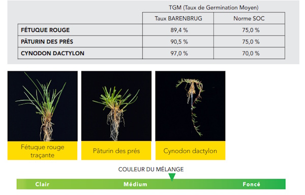 Qualité germinative RES+ MED