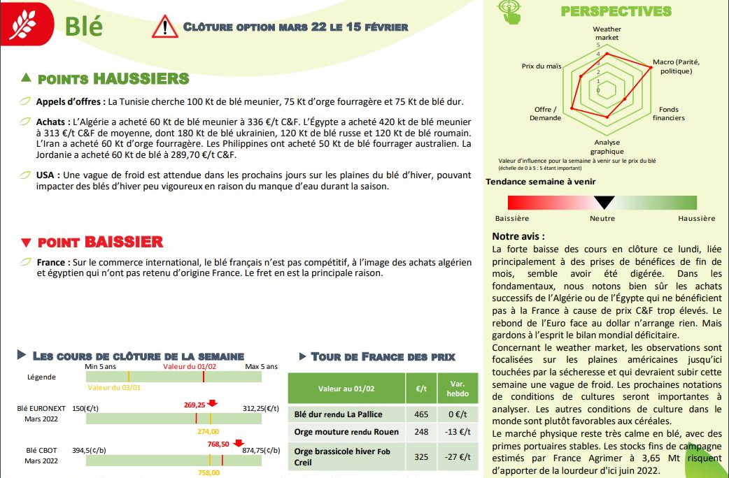 Extrait Lettre Stratinfos