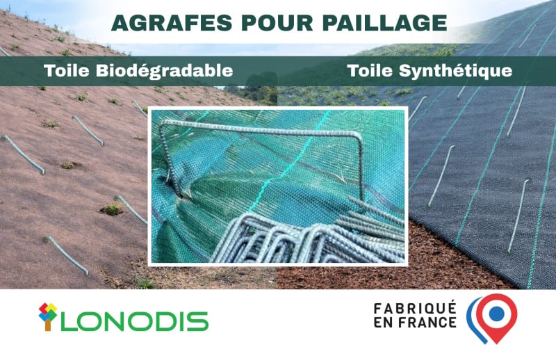 Agrafe pour toile de paillage