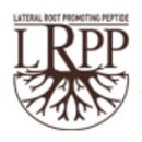 lateral-root-promoting-peptide